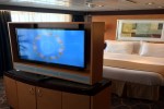 Owners Suite Stateroom Picture