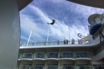 Boardwalk and Park Balcony Stateroom Picture