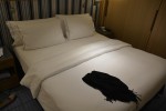 Deluxe Stateroom Picture