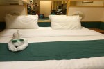 Interior Stateroom Picture