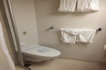 Oceanview Stateroom Picture