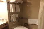 Interior Stateroom Picture