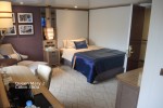 Single Oceanview Stateroom Picture