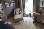 Single Oceanview Stateroom Picture