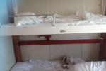 Interior Stateroom Picture