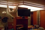 Balcony Stateroom Picture