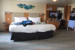 Ultra Spacious Oceanview Stateroom Picture