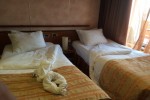 Suite Stateroom Picture