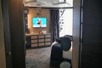 Aqua Theater Suite - 1 Bedroom Stateroom Picture