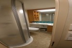 Interior Stateroom Picture