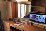 Deluxe Oceanview Stateroom Picture