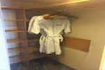 Junior Suite Stateroom Picture