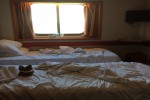 Oceanview Stateroom Picture