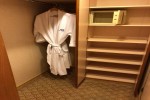 Mini-Suite Stateroom Picture