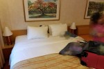 Oceanview Stateroom Picture