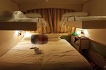 Oceanview Stateroom Picture