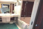 Penthouse Stateroom Picture