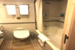 Mini-Suite Stateroom Picture