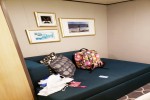 Interior Stateroom Picture