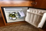 Mini-Suite Balcony Stateroom Picture