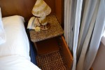 Penthouse Suite Stateroom Picture