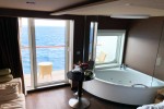  Stateroom Picture