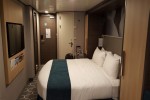 Atrium Promenade View Stateroom Picture