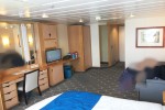 Ultra Spacious Oceanview Stateroom Picture