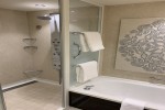 Haven Owner Suite Stateroom Picture