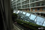 Boardwalk and Park View Stateroom Picture