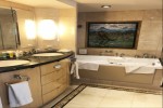 Owners Suite Stateroom Picture