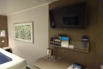 Interior Stateroom Picture