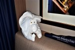 Verandah Stateroom Picture