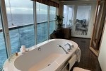 Wintergarden Suite Stateroom Picture