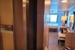 Oceanview Stateroom Picture