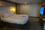 Oceanview Stateroom Picture