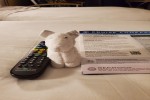 Spacious Balcony Stateroom Picture