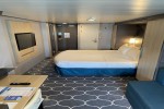 Boardwalk and Park Balcony Stateroom Picture