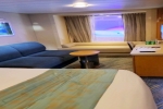 Promenade View Interior Stateroom Picture