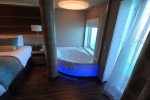 Spa Suite Stateroom Picture