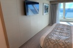 Deluxe Oceanview Stateroom Picture