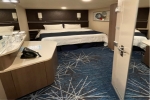 Interior Stateroom Picture