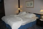 Mini-Suite Stateroom Picture