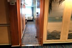 Deluxe Oceanview Stateroom Picture