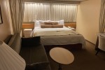 Interior Stateroom Picture