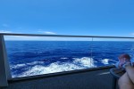 Spacious Balcony Stateroom Picture