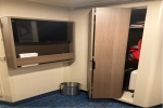 Interior Stateroom Picture