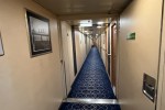 Oceanview Stateroom Picture