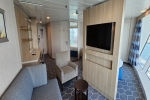 Panoramic Stateroom Picture