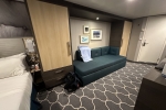 Boardwalk and Park Balcony Stateroom Picture